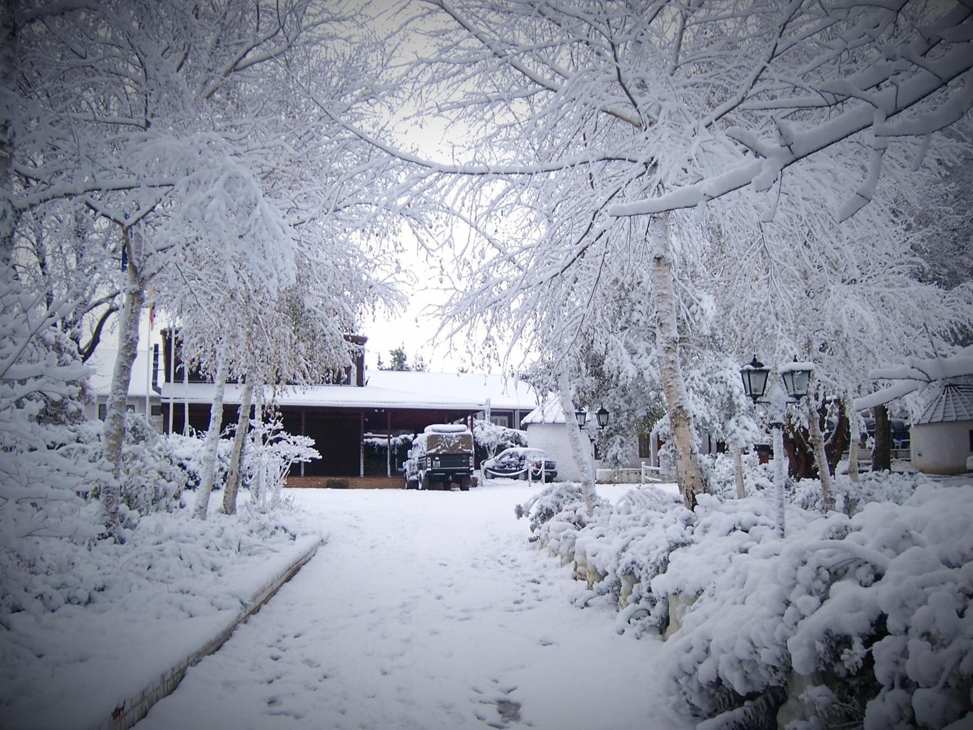 Kings Lodge Hotel Hogsback Exterior photo